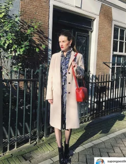 Sale Ines de la Fressange Paris Marcia red leather bag