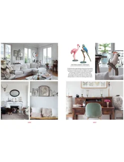 Cheap Ines de la Fressange Paris Sous les Toits de Paris" book in French